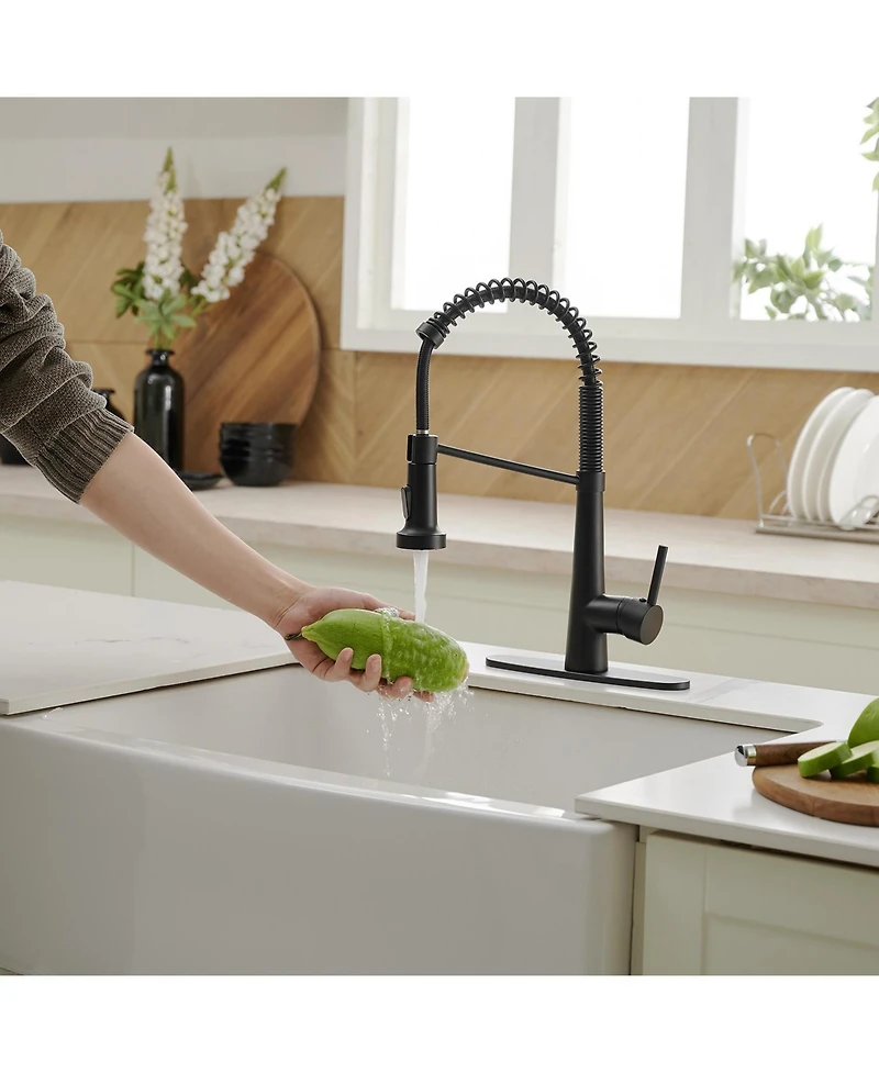 Greenspring Single-Handle Pull-Down Sprayer 2 Spray High Arc Kitchen Faucet With Deck Plate in Matte Black