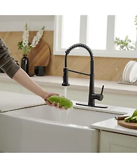 Greenspring Single-Handle Pull-Down Sprayer 2 Spray High Arc Kitchen Faucet With Deck Plate in Matte Black