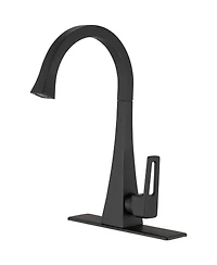 Single Handle Standard Kitchen Sink Faucet in Matte Black