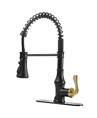 Greenspring Single-Handle Pull-Down Sprayer 3 Spray High Arc Kitchen Faucet With Deck Plate in Matte Black & Gold
