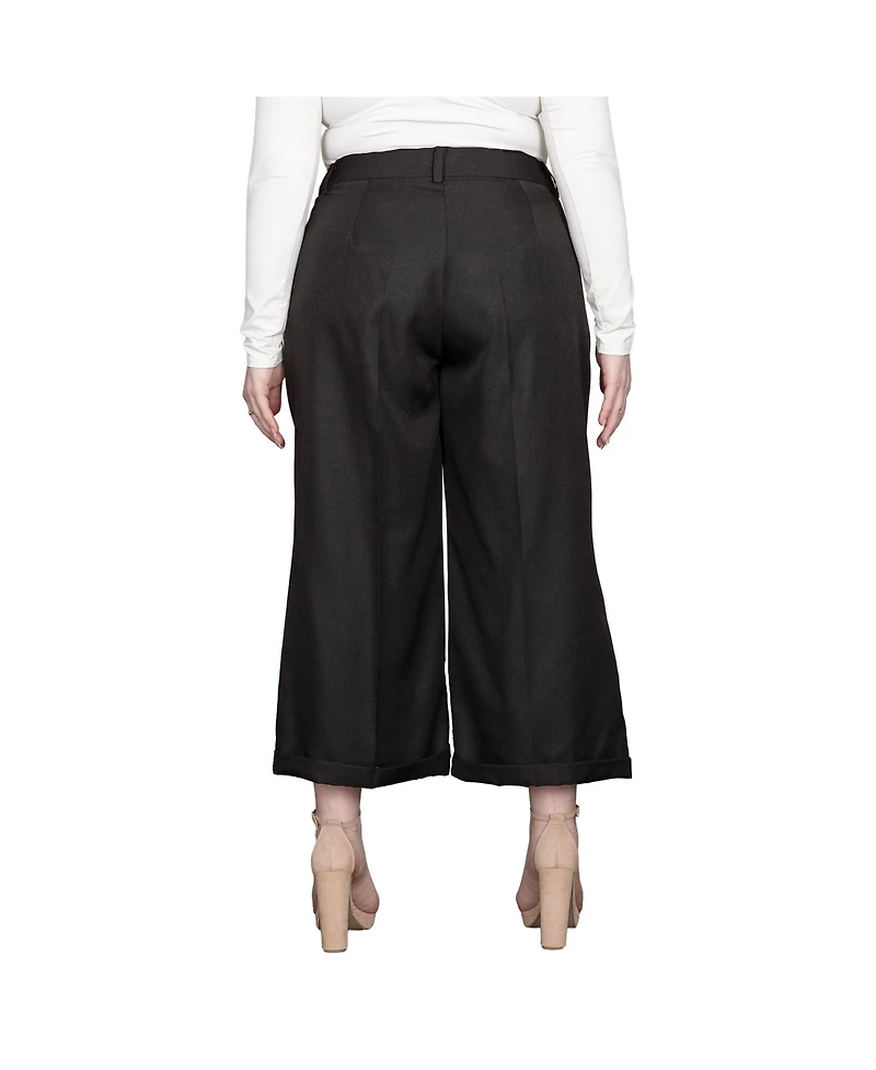 Standards & Practices Plus Pleated Front Cropped Wide Leg Pants