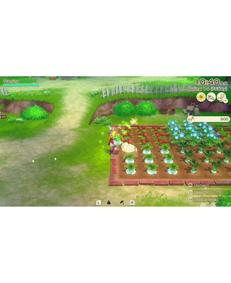 Xseed Games Story Of Seasons: Grand Bazaar Standard Edtion for Nintendo Switch 2