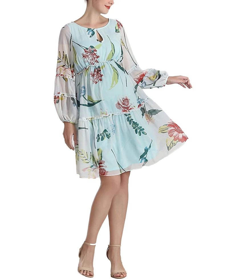 kimi + kai Women's Brielle Chiffon Maternity Dress