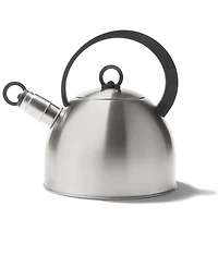 Arch Studio Stainless Steel 2.1-Quart Tea Kettle