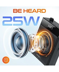 Delton A566 Bluetooth Speaker, Voice Amplifier (DVA566)