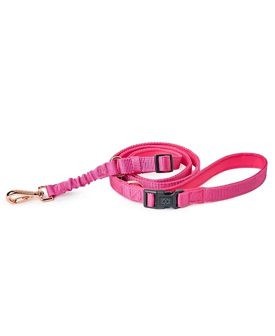 Dogistry 3-in-1 City Dog Leash