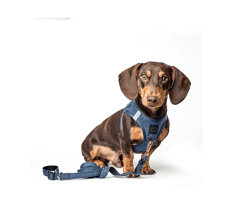 Dogistry 3-in-1 City Dog Leash