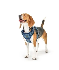 Dogistry The NoMad Adjustable Luxe Harness