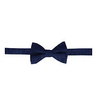 Trafalgar Men's Banbury Tone on Paisley Silk Bow Tie