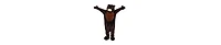 Dress Up America Brown Beaver Mascot - Teens Boys & Girls