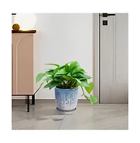 Chic Crate Modern Striped Ceramic Planter Set of 2