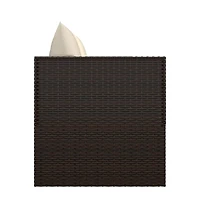Outdoor Lounge Bed Brown, Cream White