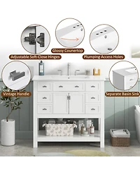 Lovmor 36inch Bathroom Vanity with Top Sink Modern Bathroom Storage Cabinet with 2 Soft Closing Doors and 2 Drawers Single Sink Bathroom Vanity