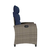 vidaXL Reclining Garden Chair Grey