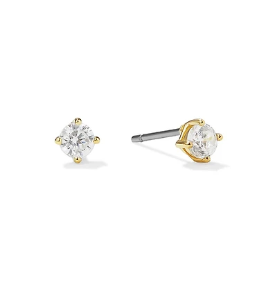Ana Luisa Circle Stud Earrings