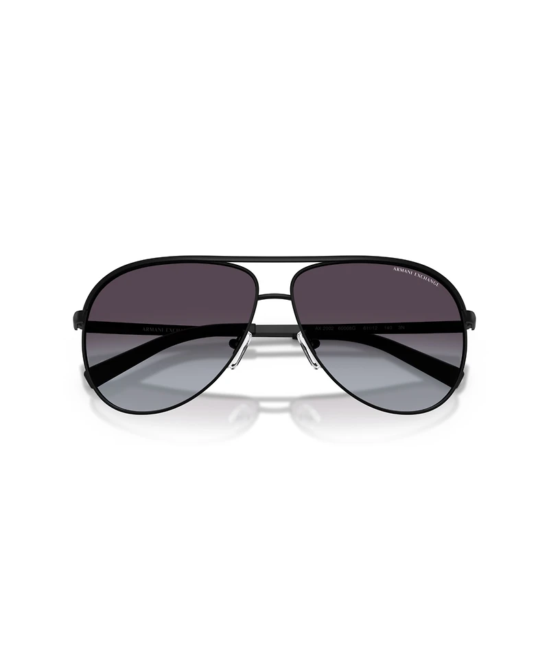 A|X Armani Exchange Unisex Pilot Sunglasses, AX2002