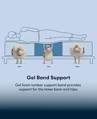 Serta Perfect Sleeper Iceland Poppy 14" Plush Pillow Top Mattress, Twin Xl