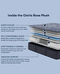 Serta Perfect Sleeper Osiria Rose 13" Plush Tight Top Mattress, Twin Xl