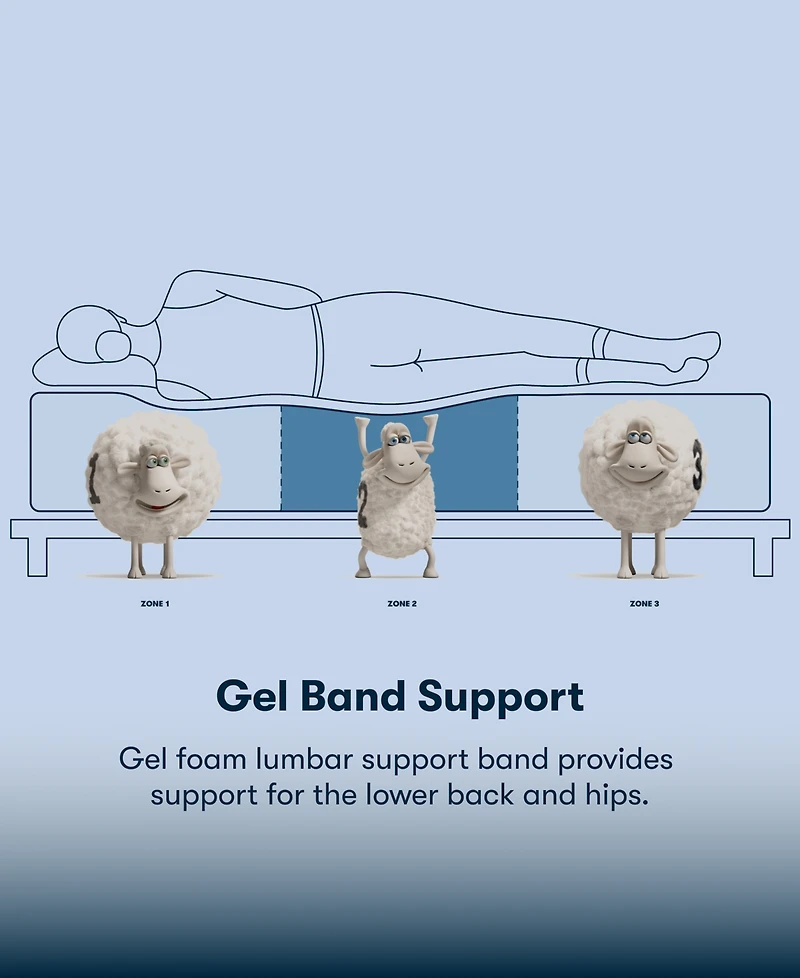 Serta Perfect Sleeper Cobra Lily 10.5" Plush Tight Top Mattress Set, Twin