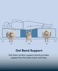 Serta Perfect Sleeper Cobra Lily 10.5" Plush Tight Top Mattress Set, Twin