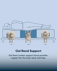 Serta Perfect Sleeper Cobra Lily 10.5" Plush Tight Top Mattress Set, Queen Split