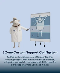 Serta Perfect Sleeper Iceland Poppy 13" Plush Tight Top Mattress Set