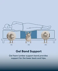 Serta Perfect Sleeper Cobra Lily 11" Plush Euro Top Mattress Set, Twin
