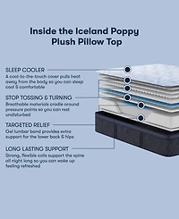 Serta Perfect Sleeper Iceland Poppy 14" Plush Pillow Top Mattress Set, Twin Xl