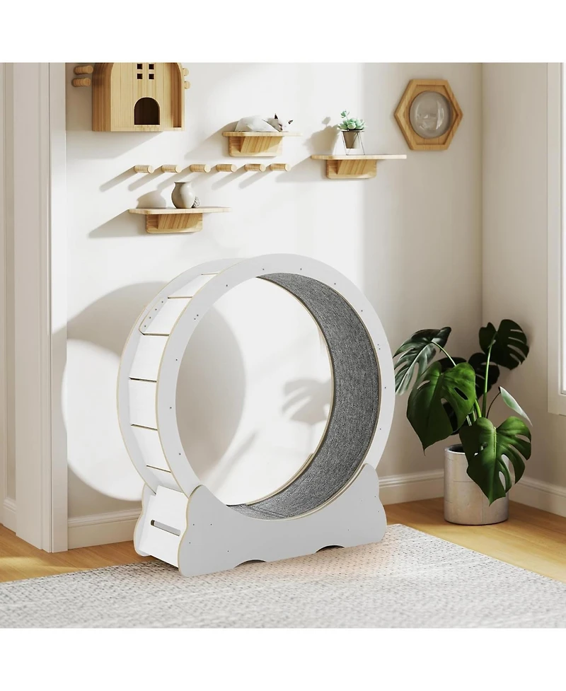 Aecojoy 35.8'' Cat Wheel for Indoor Cats