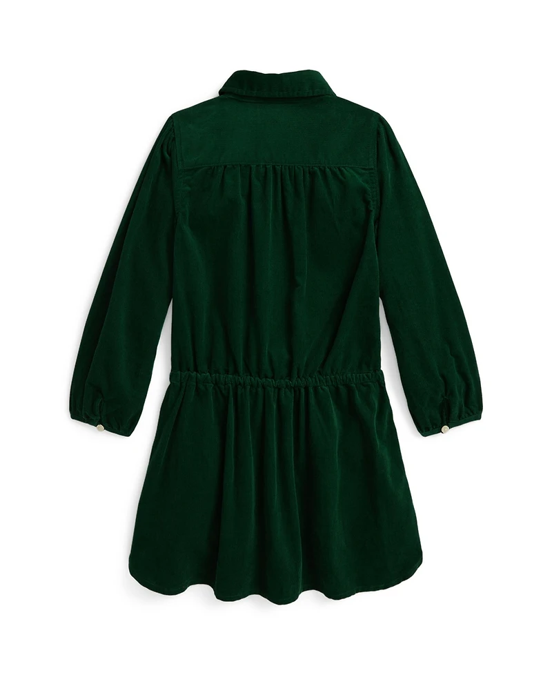 Polo Ralph Lauren Girls 2T-6X Pintucked Long Sleeves Dress