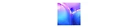 55" Class Qled Q6F Series 4K Quantum Hdr Vision Ai Smart Tv – QN55Q6FAAFXZA