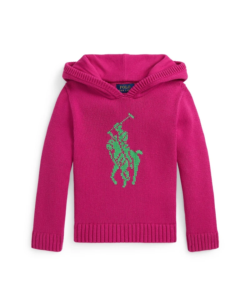 Polo Ralph Lauren Girls 2T-6X Big Pony Hooded Sweater