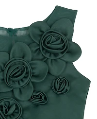 Rare Editions Girls 2T-6X 3D Flower Applique Dress