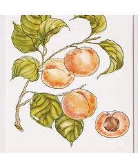 Autumnal Fruit Prints, Set of 4 - Pink/Orange - Fir Wood