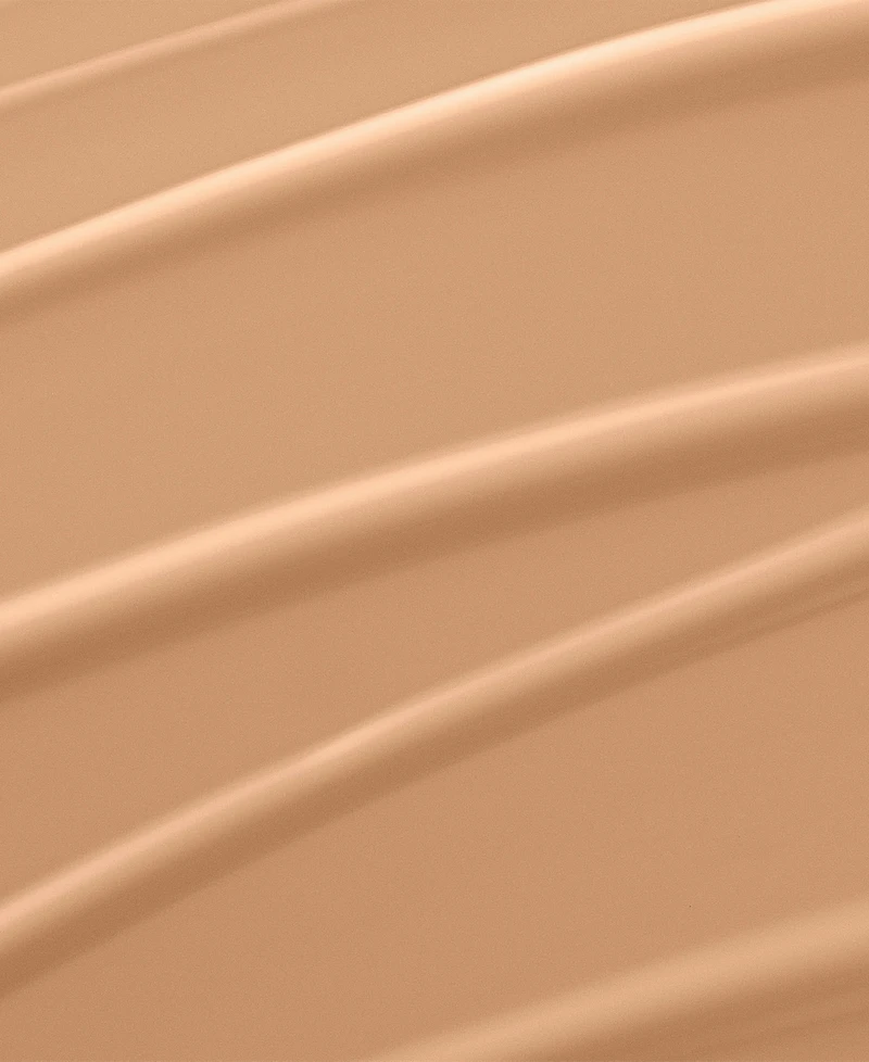 Renergie Lift Makeup Foundation Spf 27