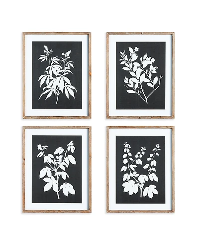 Monochrome Botanical Prints Set of 4
