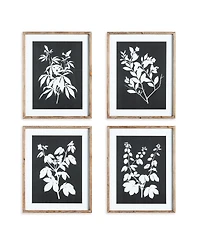 Monochrome Botanical Prints Set of 4