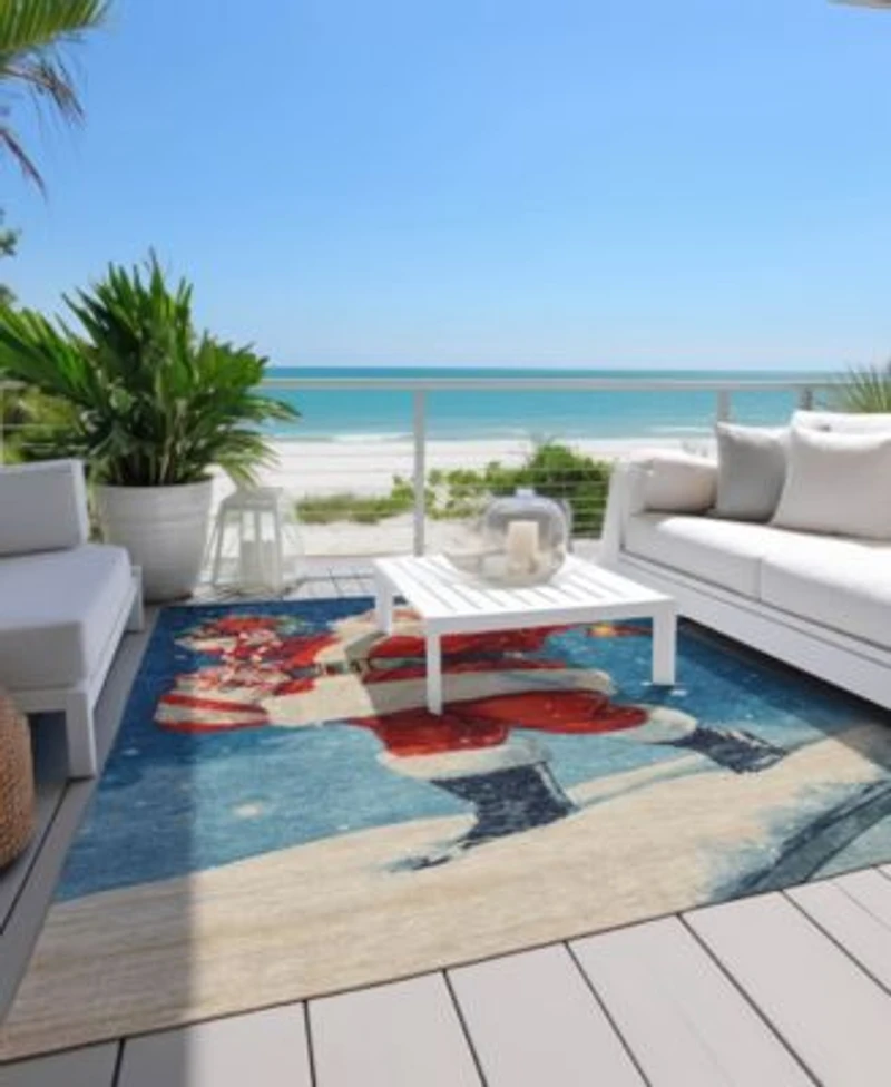 Addison Holiday Washable Indoor Outdoor Acn1807 Rug Collection