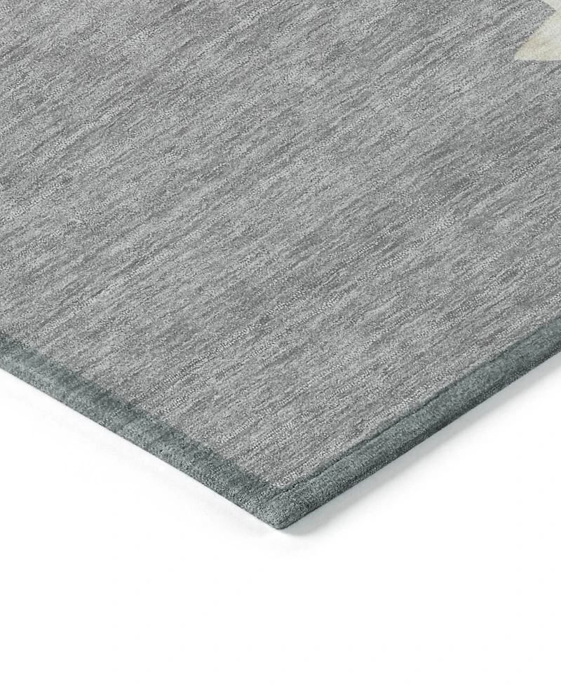 Addison Holiday Washable Indoor/Outdoor ACN1825 3'x5' Area Rug