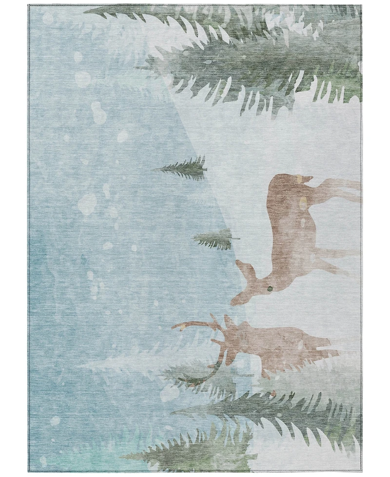 Addison Holiday Washable Indoor/Outdoor ACN1821 9'x12' Area Rug