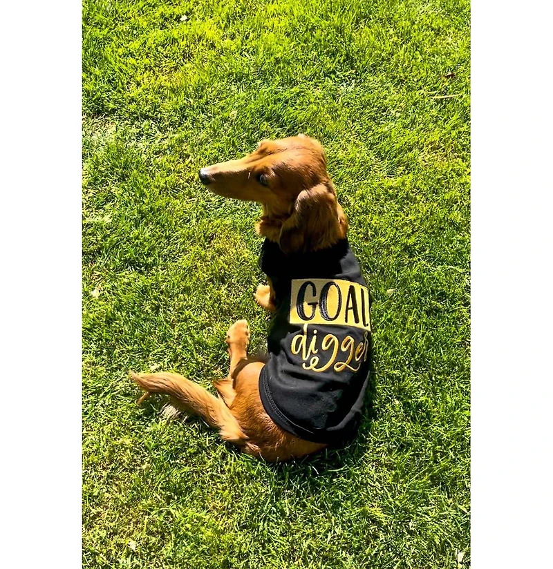 Parisian Pet Goal Digger