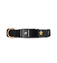 The Dogistry x Fi Rockstar Collar