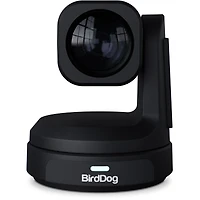 BirdDog Max 12X Ptz Camera (Black)