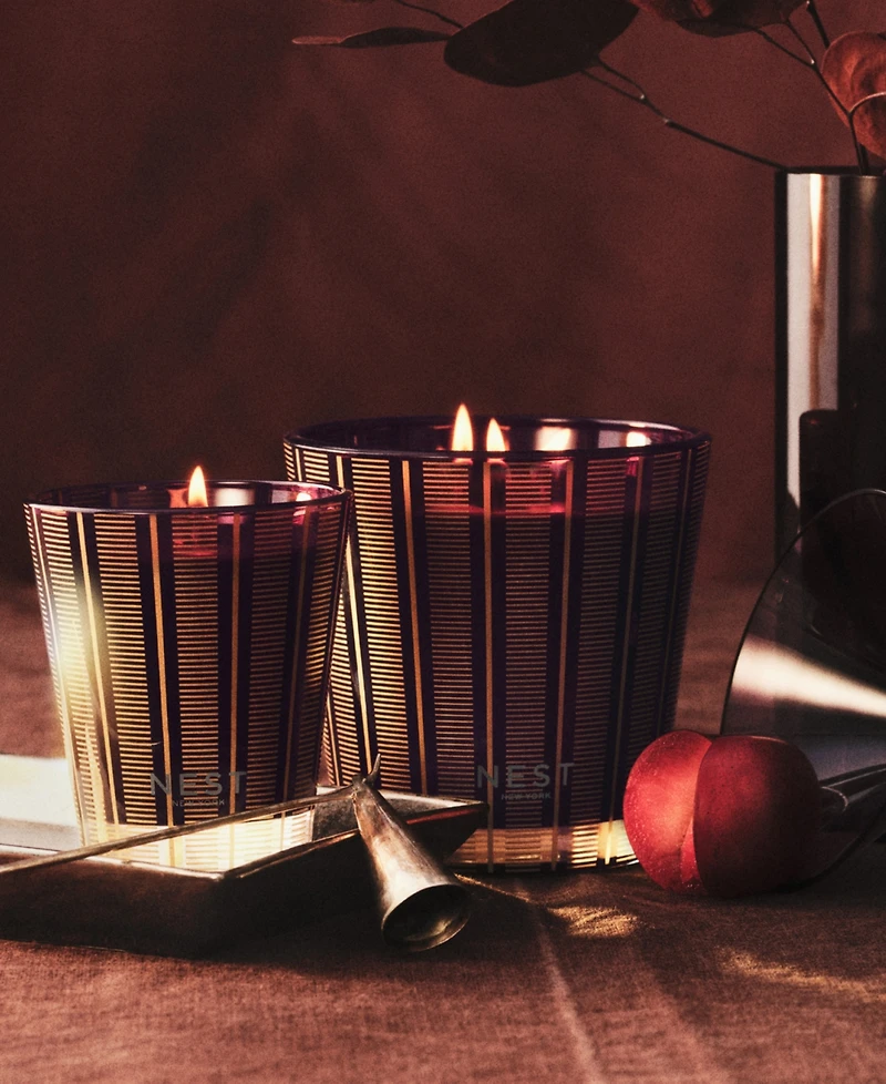 Nest New York Plum and Cinnamon Fragrance Classic Candle, 8.1 oz.