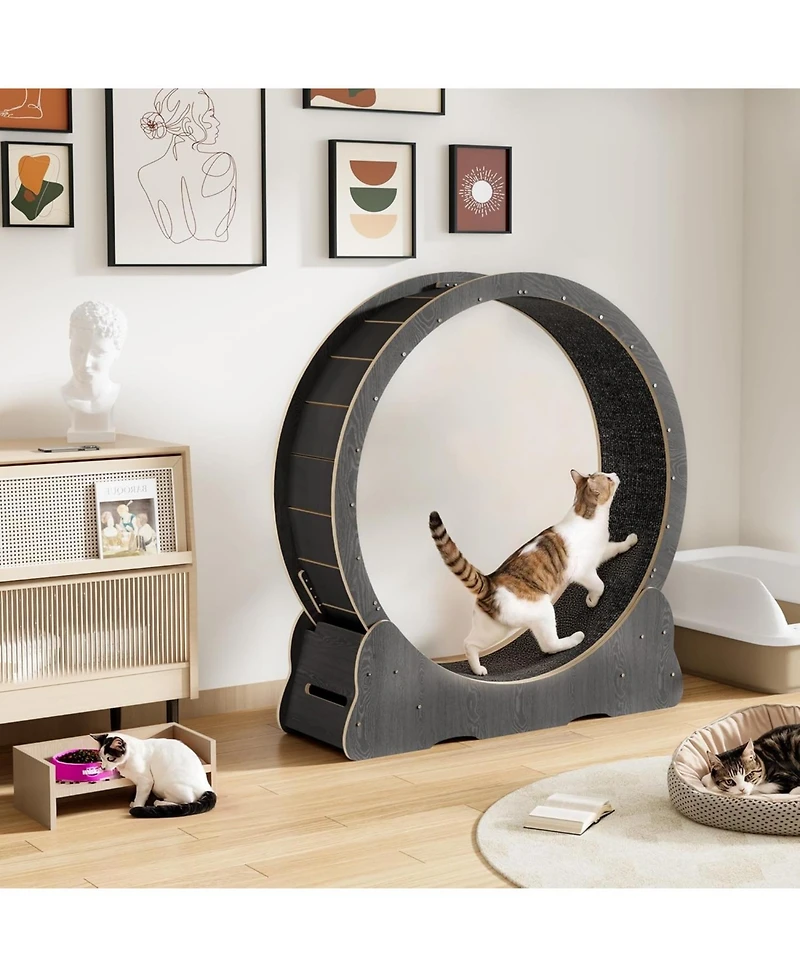 Aecojoy 43.3'' Cat Wheel for Indoor Cats