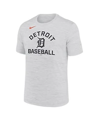 Nike Men's Ash Detroit Tigers Velocity Team City Baseball Dri-fit T-Shirt
