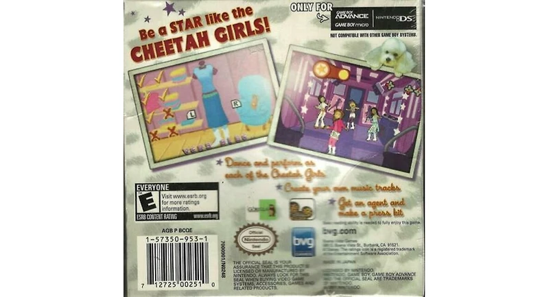 Disney Interactive Cheetah Girls