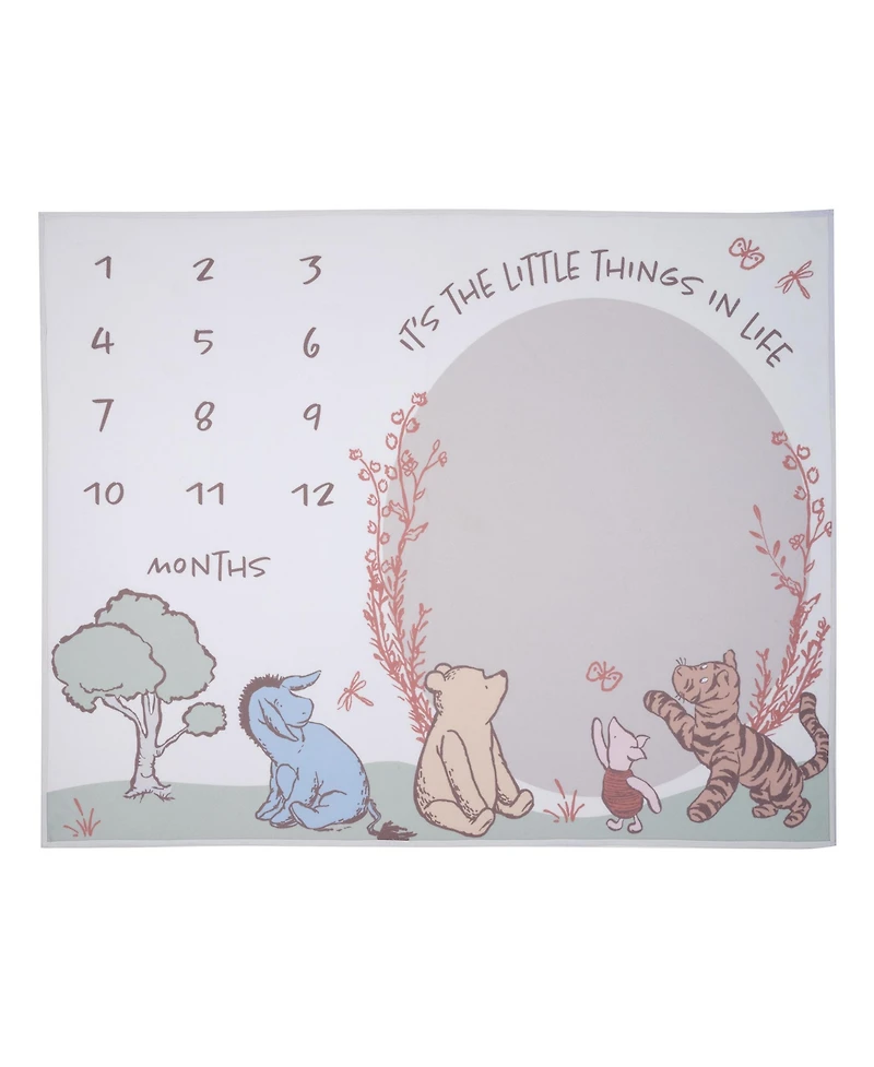 Lambs & Ivy Baby Pooh Bear and Pals Photo Opportunity Milestone Fleece Blanket