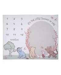 Lambs & Ivy Baby Pooh Bear and Pals Photo Opportunity Milestone Fleece Blanket