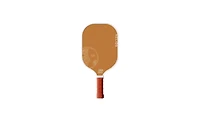 The Basic Pickleball Paddle Set